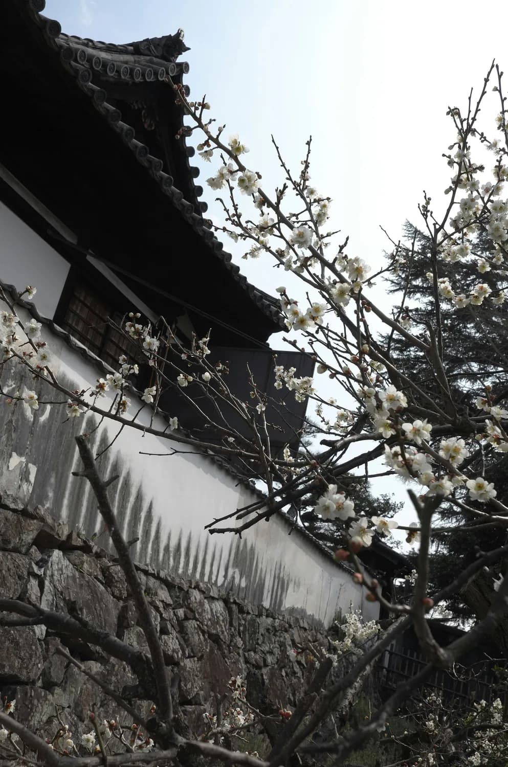 李白与天台山：一场跨越千年的精神对话