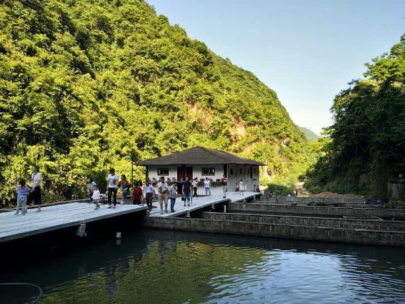 南阳镇：一条冷水鱼，“游”出产业发展新路径