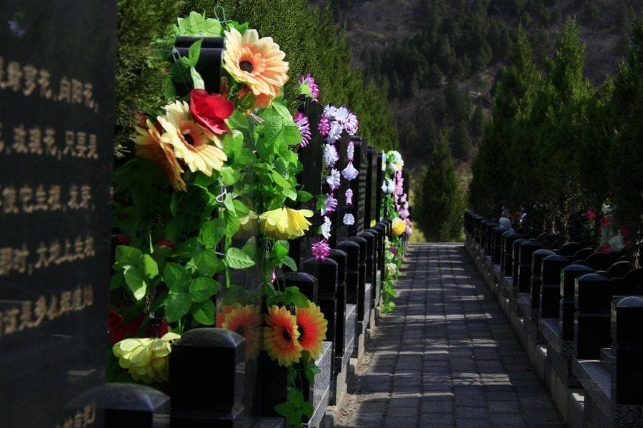 谷医堂谷方益元：清明节扫墓注意事项
