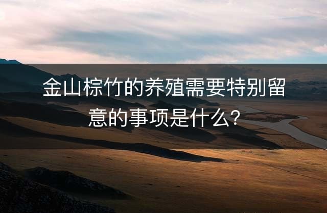 金山棕竹的养殖需要特别留意的事项是什么？