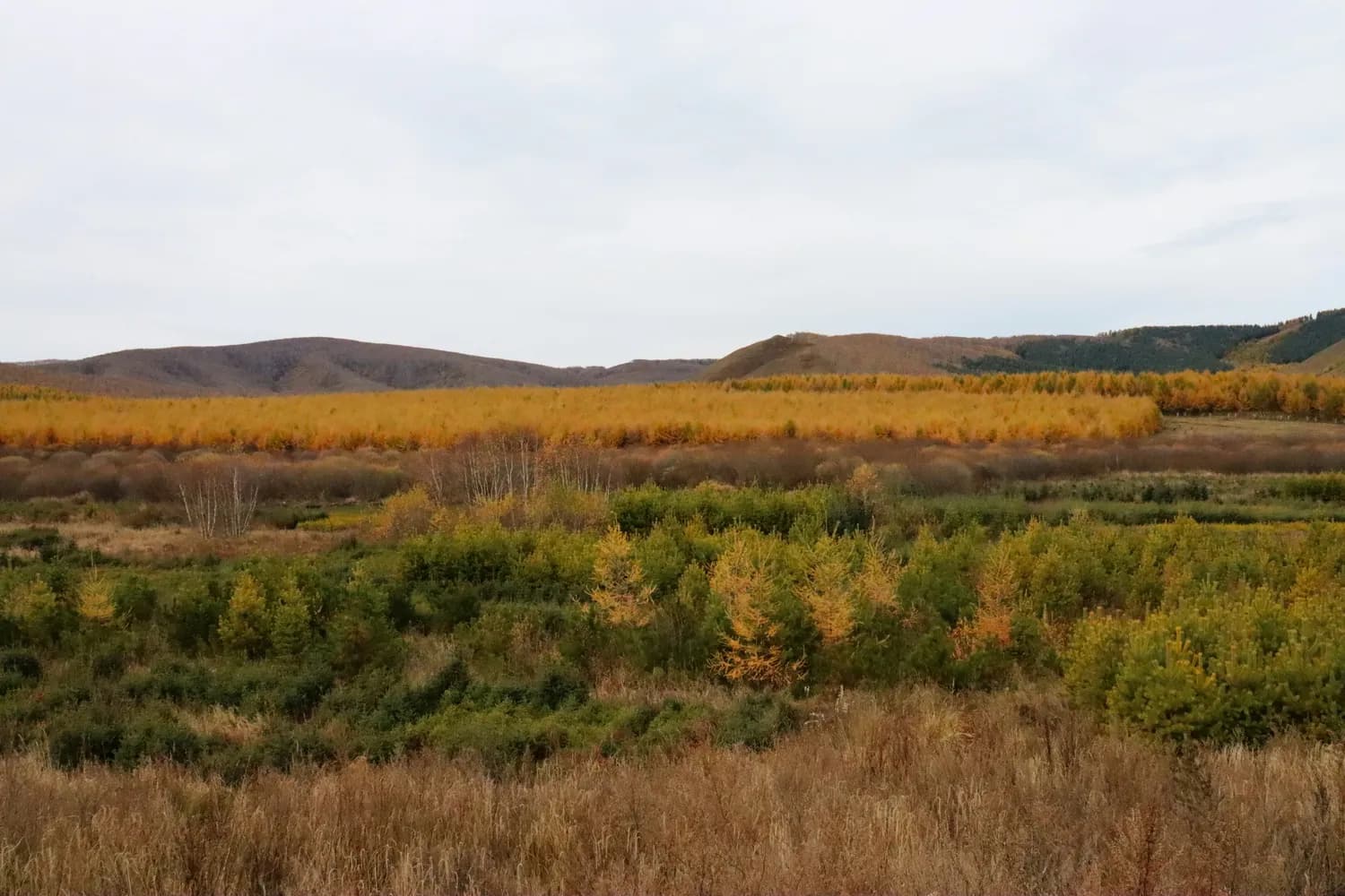肥城条水涧村芳草地景区：秋日打卡圣地