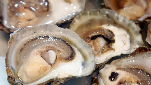 生蚝蘸料怎么调好吃简单