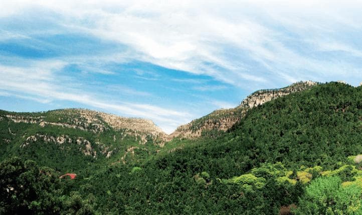 长清名山——“此景冠天下，不独奇东州”｜灵岩山