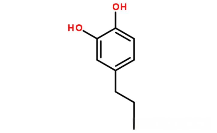 人类快乐的源泉：多巴胺的奥秘