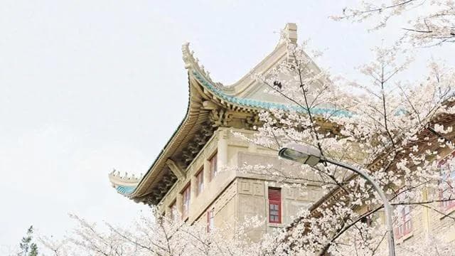 樱花季！武汉三镇宝藏美食小店指南