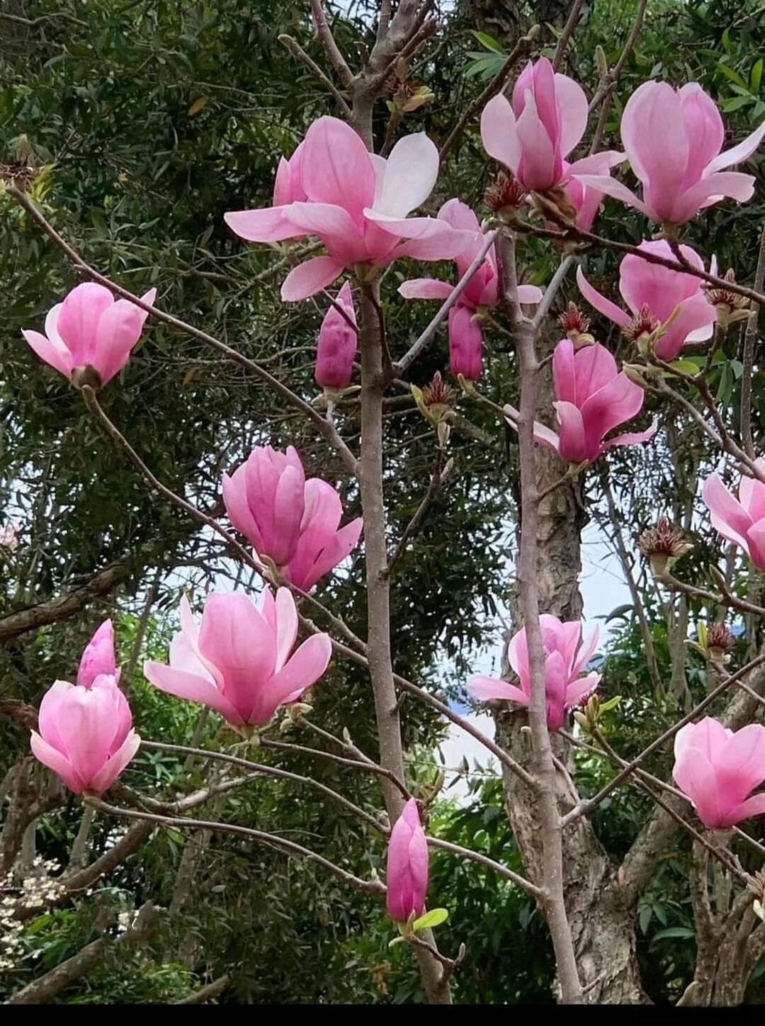 养成打草稿的习惯：数学解题的隐形翅膀