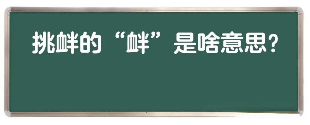 挑衅的“衅”是啥意思？