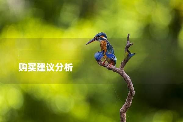 鹦鹉小太阳多少钱一只？市场价格及购买建议分析