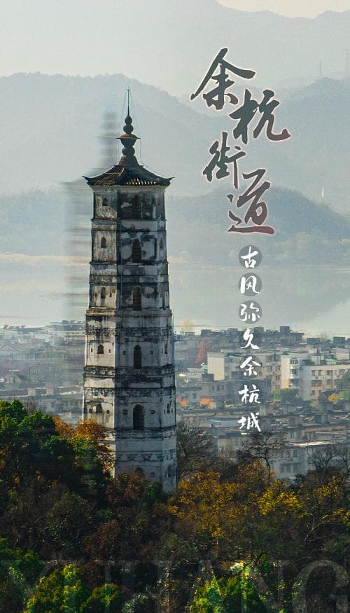 千年古镇焕新颜：走进杭州余杭街道