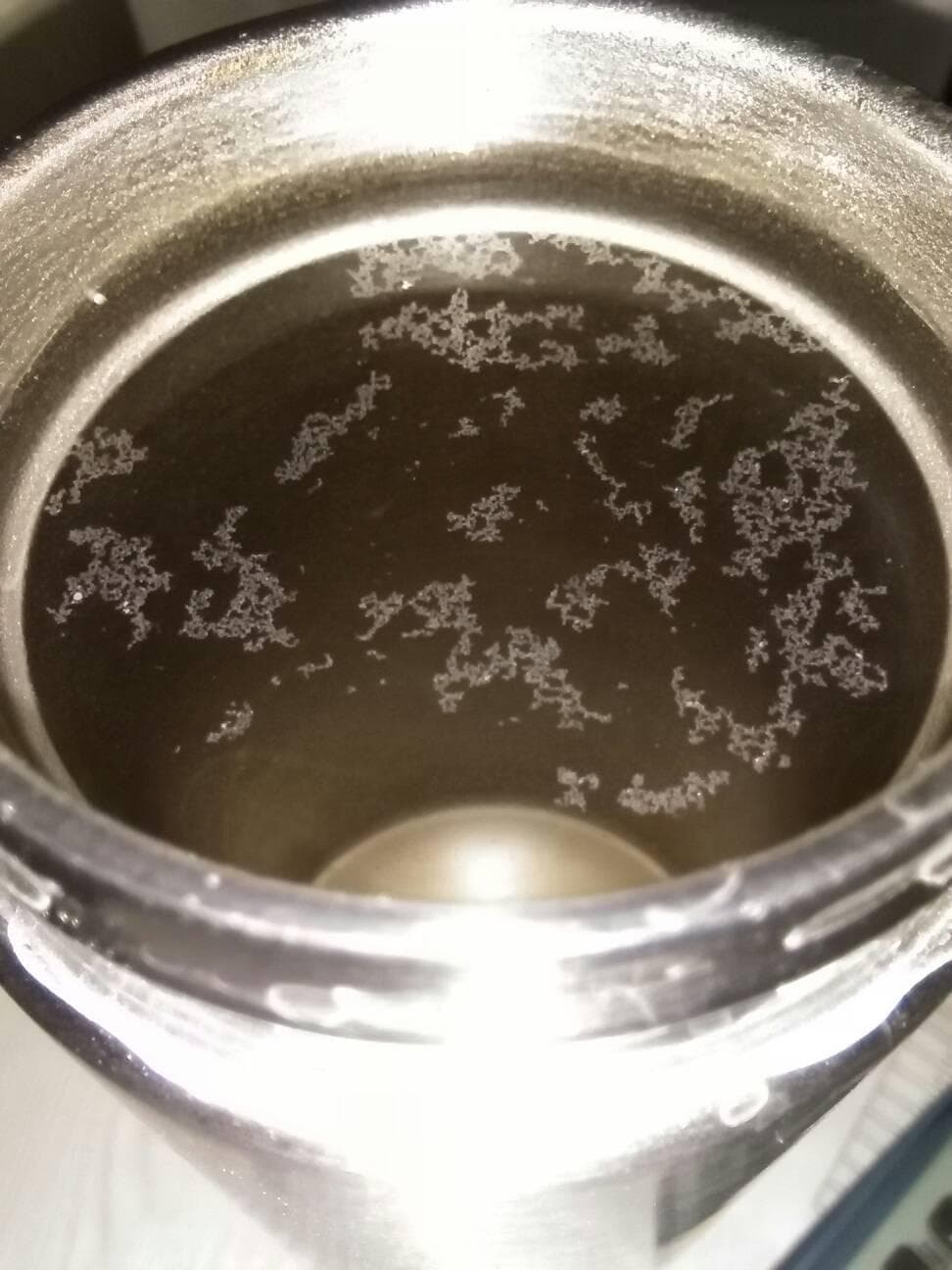 烧开的水里有白色漂浮物和沉淀物，长期喝危害大吗？