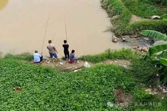 秋季野钓大鱼，4个爆护时机，钓一次顶十次