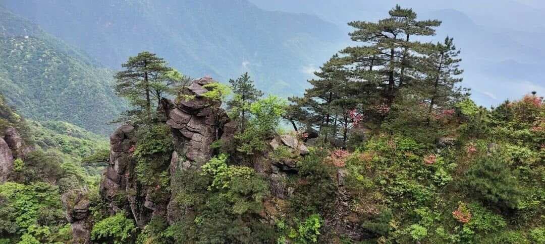 行星的运动轨道