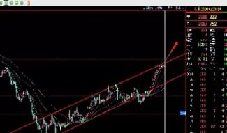 玉米期货投资指南：从基本面到技术面的全面分析