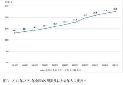 高龄劳动者：延迟退休、社保困境与超龄压力