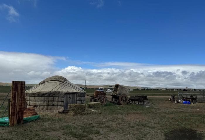 从生活住所到网红打卡点：一顶蒙古包看百年变迁