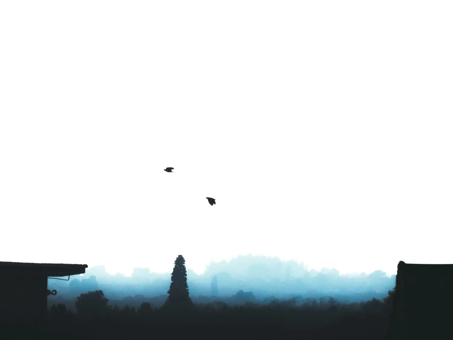 《剑来》动画爆火：水墨画风演绎东方美学，传统文化元素引发热议