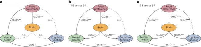 Nature 子刊：分析 18 万人数据发现这种饮食偏好正在改变大脑结构