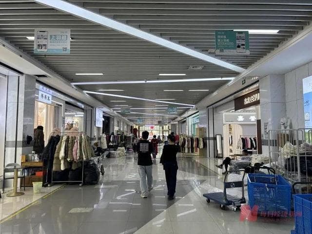 1吨130万元，白鹅绒价格暴涨！商家懵圈：从业10年第一次见