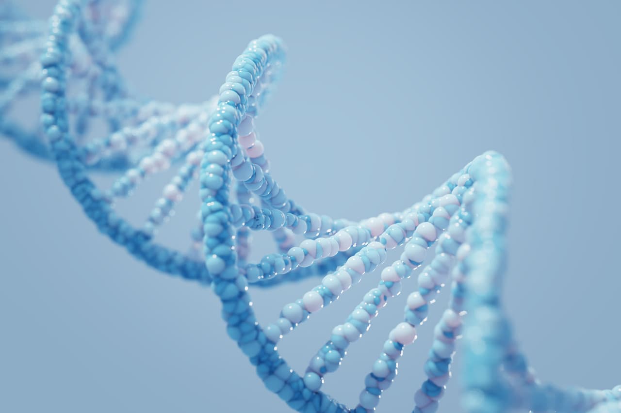 C值矛盾：为何有些小生物的基因组远超人类？