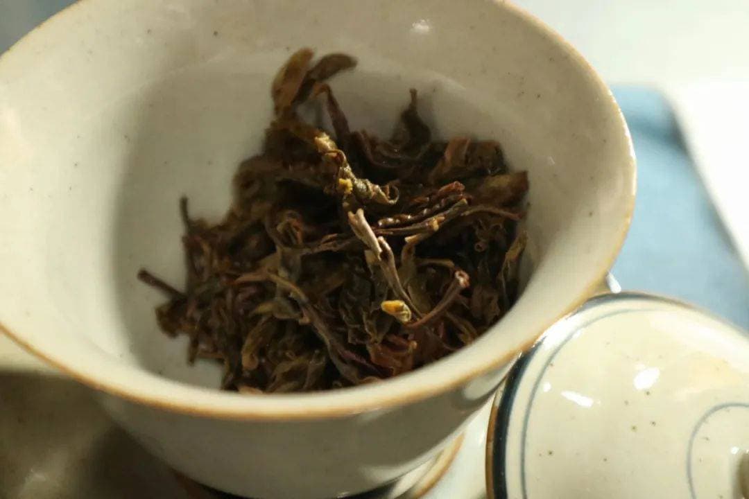 果香与茶香的完美融合！一款用果皮做壳的茶
