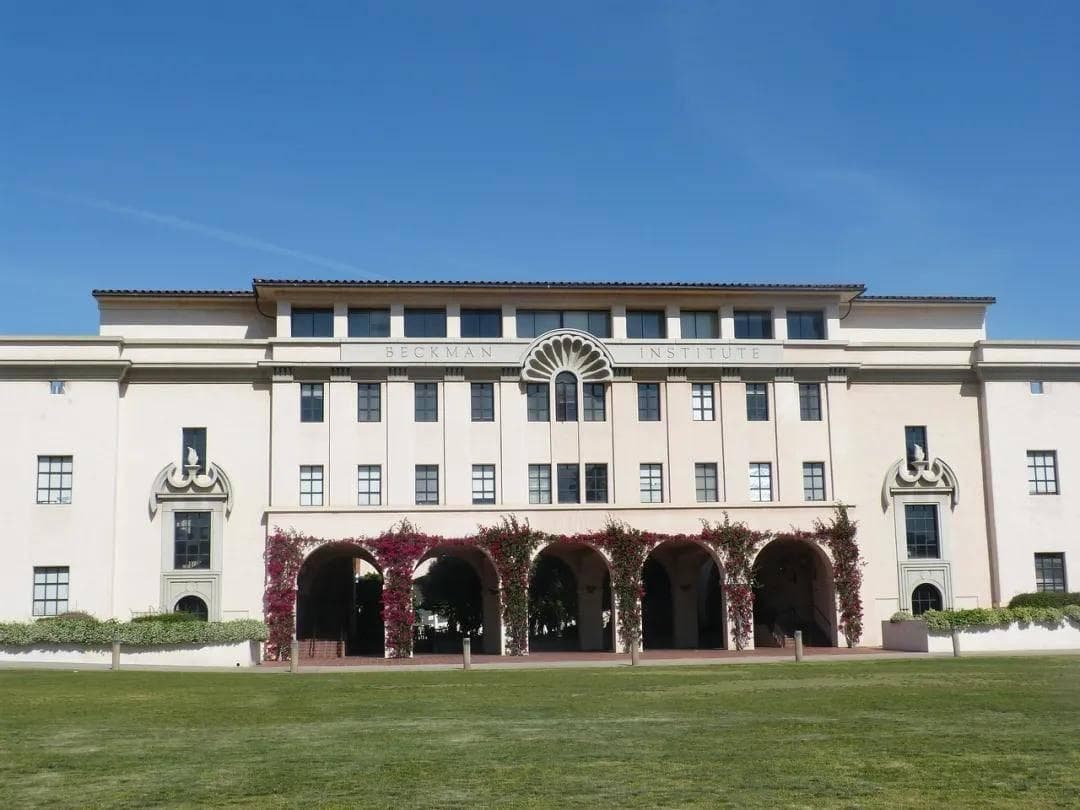 2024录取率最低Top10大学揭晓，它竟然比哈佛还难进？