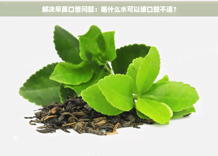 解决早晨口苦问题：喝什么水可以缓解口腔不适？