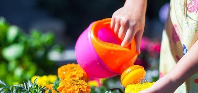 花卉浇水时间和正确方法是什么？花卉浇水注意事项有哪些？