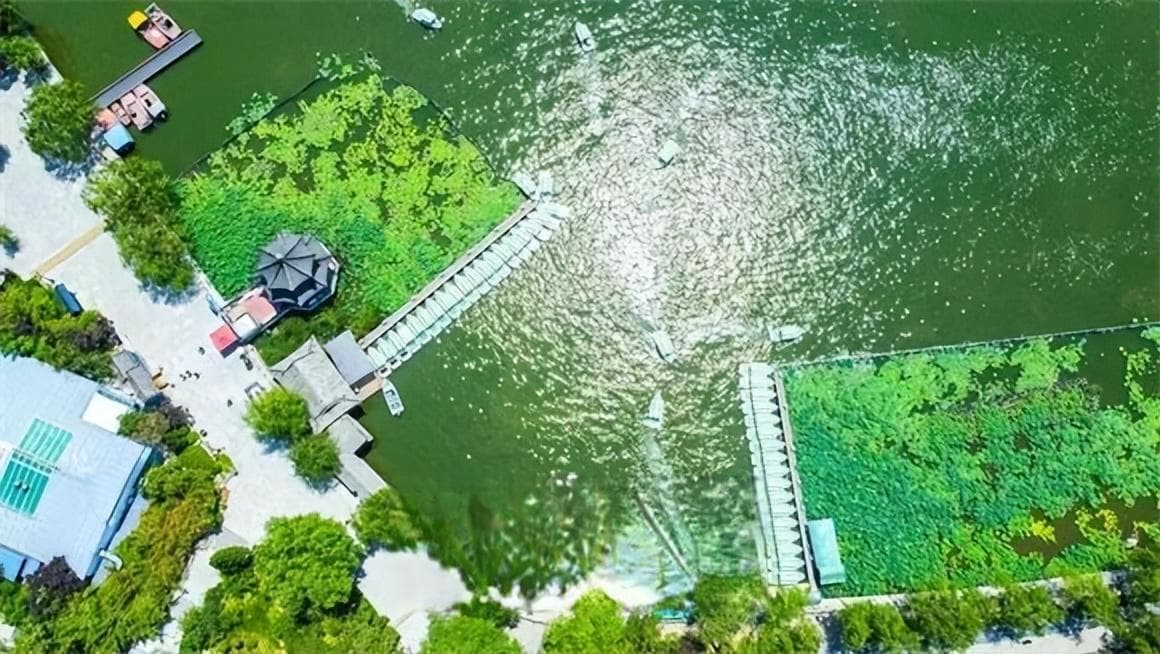 看“网红济南”如何绘制美丽和谐文旅画卷