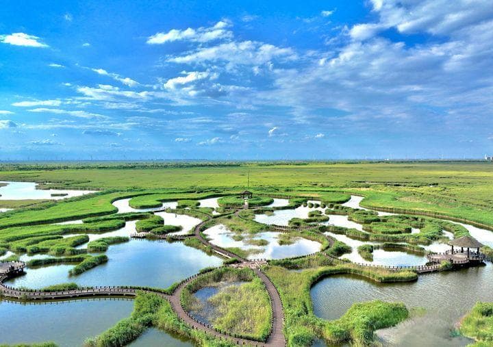 河北沧州南大港湿地成首个世界自然遗产，为候鸟提供重要栖息地