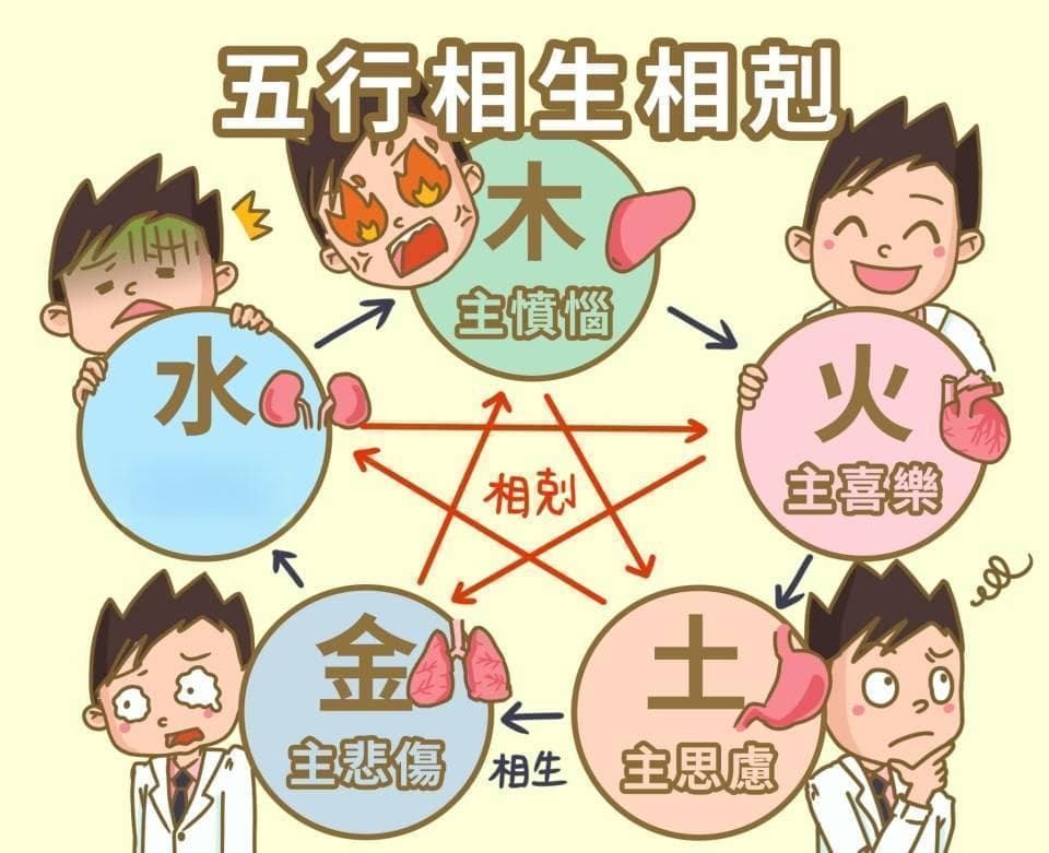 中医辨证五种感冒：从风寒到体虚的对症治疗方案