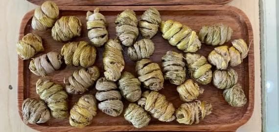 浙江石斛和云南石斛的功效与作用区别是什么呢？哪个更好一些？