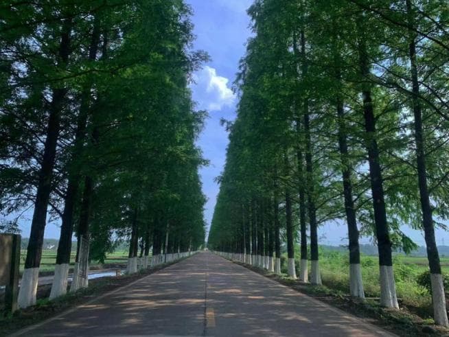 汉寿美丽乡村建设入选全省“夏季攻势”典型案例
