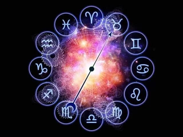 十二星座，你知道哪些宠物最适合你的星座吗？