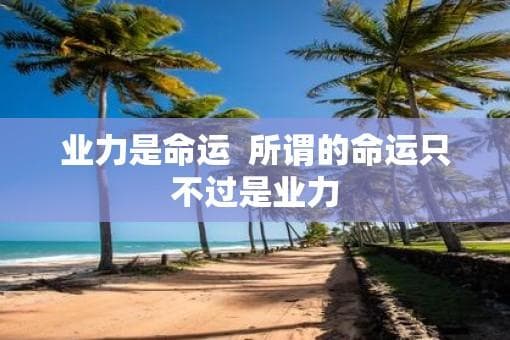 业力是命运  所谓的命运只不过是业力