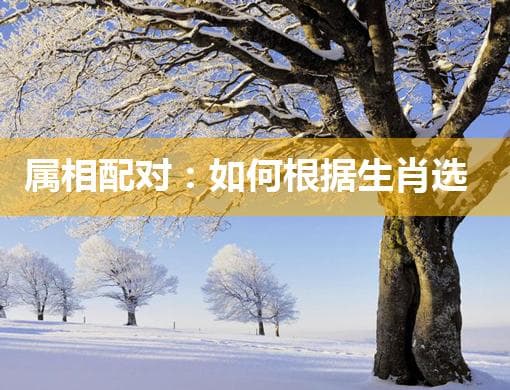 属相配对：如何根据生肖选择最佳合作伙伴与吉祥日子