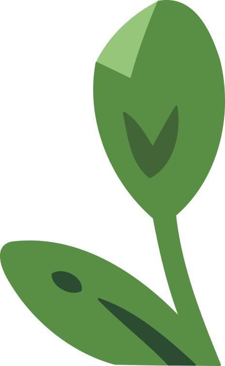 非营运货车从事网络货运发生事故，保险公司是否赔偿？