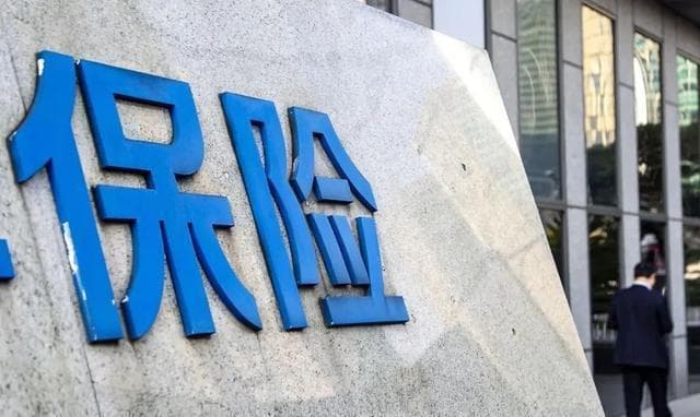 安邦保险破产案：保险保障基金如何保护投保人权益