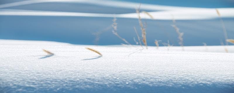 人工降雪和自然雪的区别