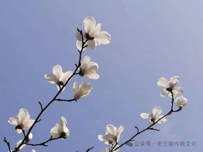 从巅峰到深渊：企业领导者的权力陷阱，你中招了吗？