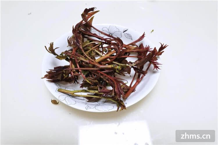 春分吃什么传统美食南方