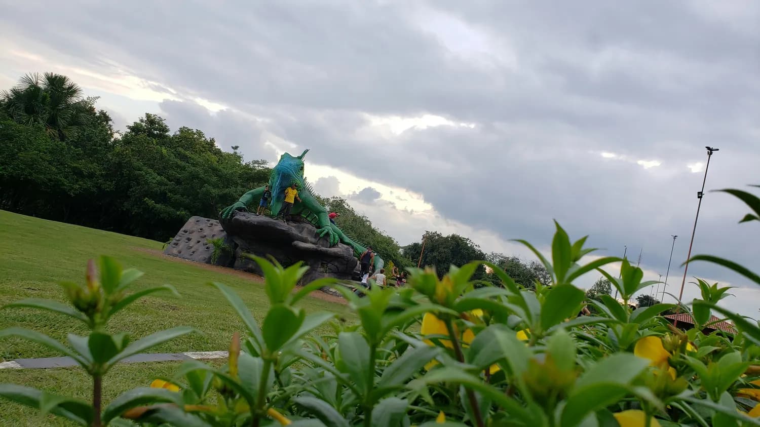 阿古朵：野区霸主，高效刷野新姿势！