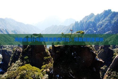 海南自由行与跟团游费用对比：预算规划全解析