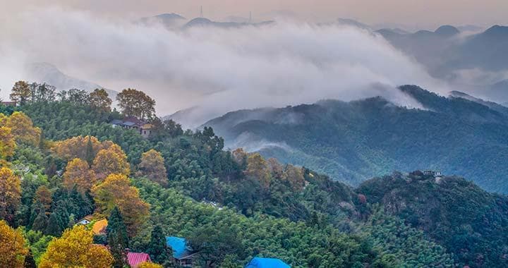 莫干山国际旅游度假区：修竹、山泉与别墅交织的江南第一山