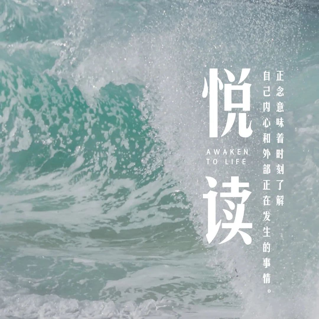 用快门探索内心 | 正念摄影：生活的每一刻都充满着惊喜和奇迹