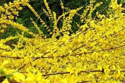 沁源县十大特产