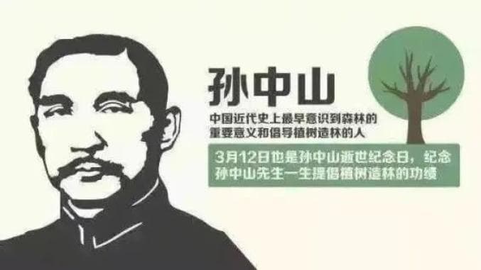 植树节特辑：从历史到实践，共赴一场绿色之约