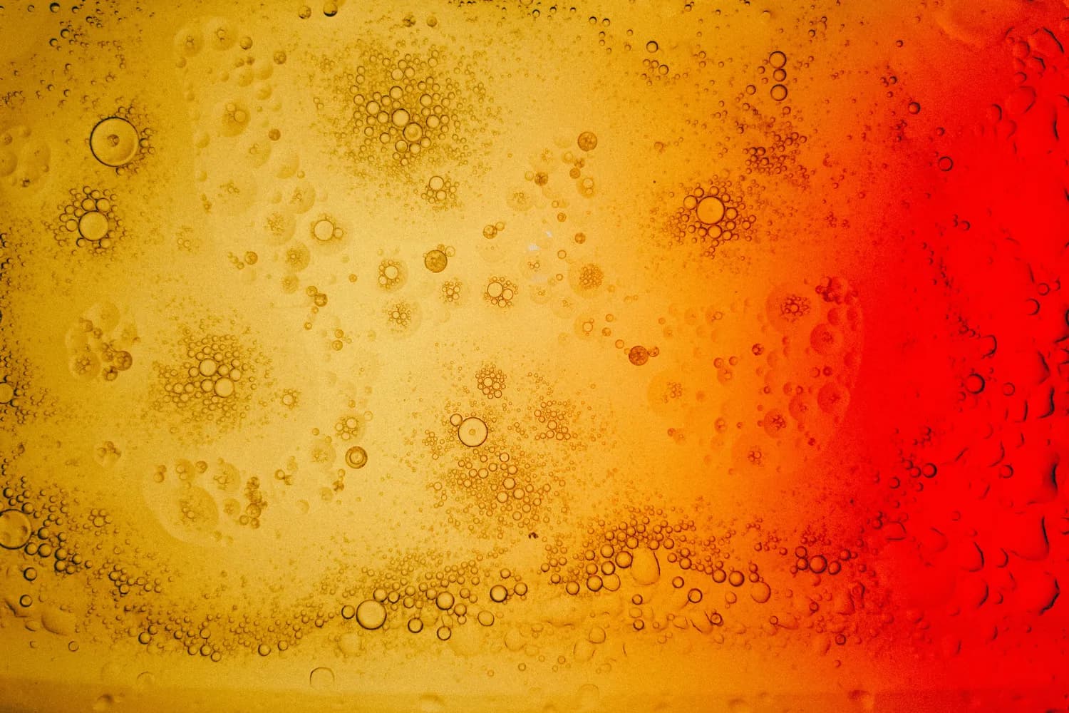 科学拒酒，远离酒精肝！