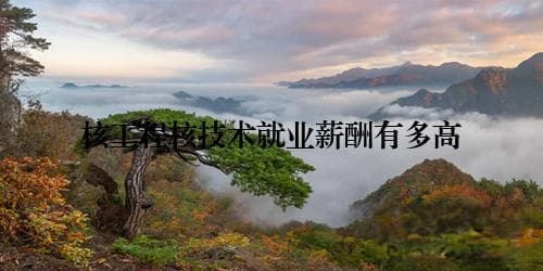 核工程核技术就业薪酬有多高