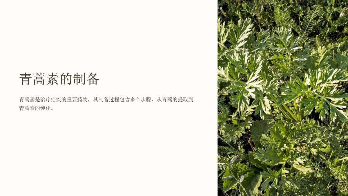 青蒿素的制备：从传统工艺到现代技术