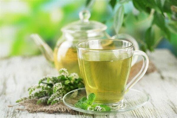 藤茶怎么喝才最好，有哪些注意事项